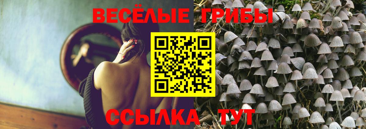 Галлюциногенные грибы ЛСД  Вход с VPN  Чебаркуль  Галлюциногенные грибы прущие грибы 